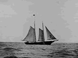 Halifax harbour Pilot Cutter